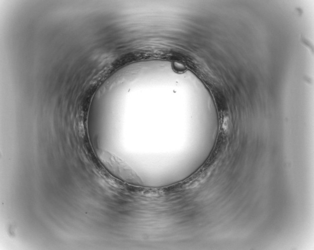 X0000093230771200710241235