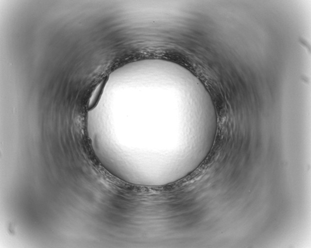 X0000093230772200710241235