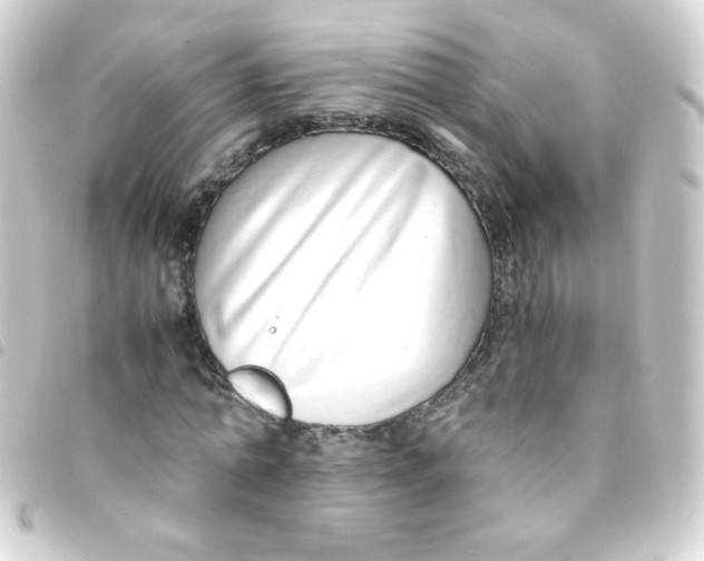 X0000093230774200710241235