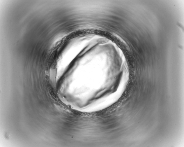 X0000093230775200710241235