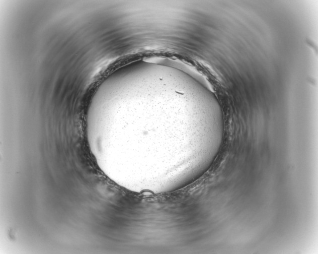 X0000093230776200710241235