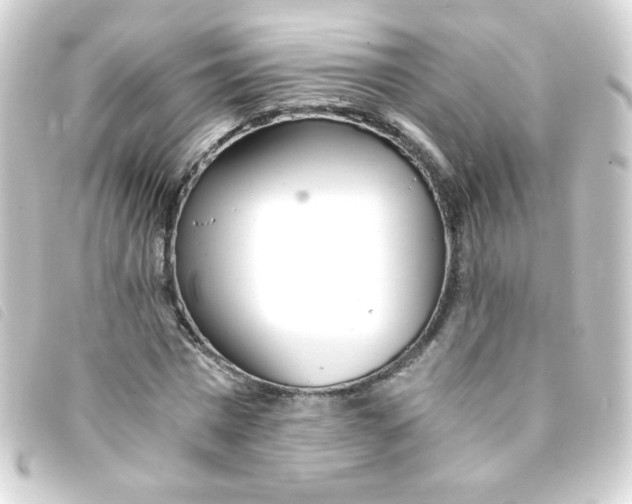 X0000093230777200710241235