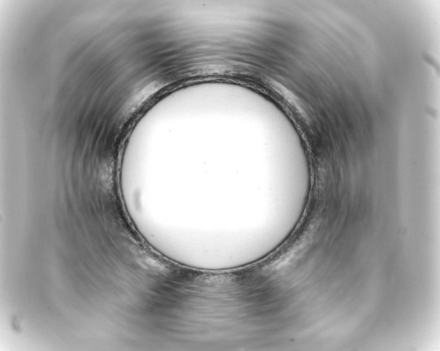 X0000093230778200710241235