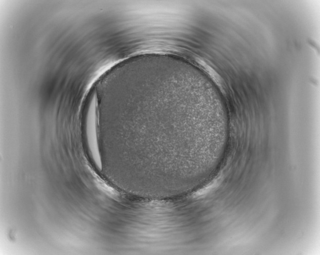 X0000093230779200710241235