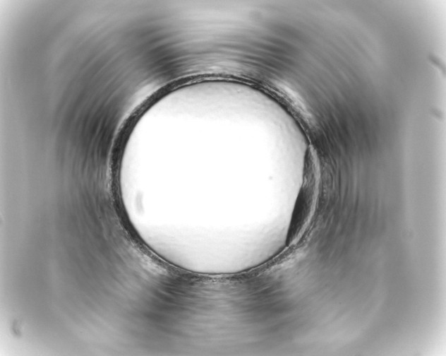 X0000093230780200710241235