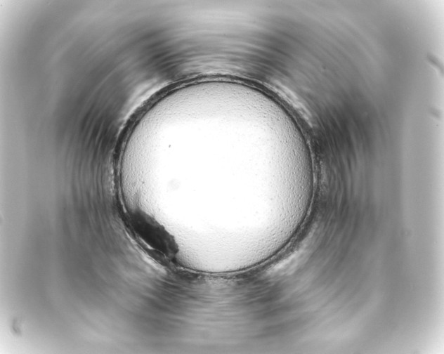 X0000093230782200710241235