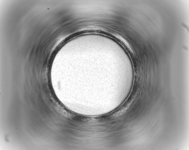 X0000093230783200710241235