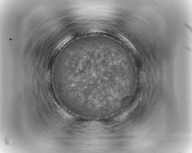 X0000093230785200710241235