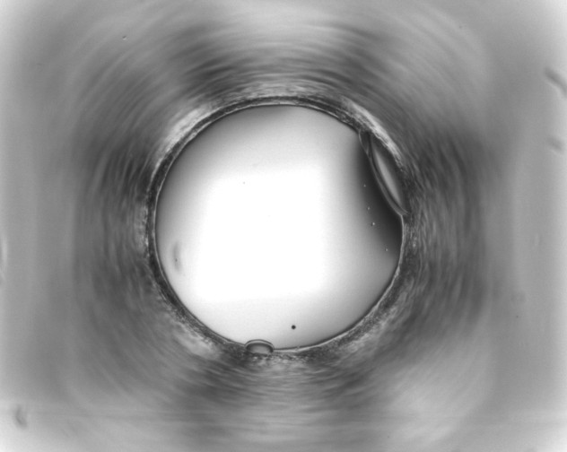 X0000093230786200710241235