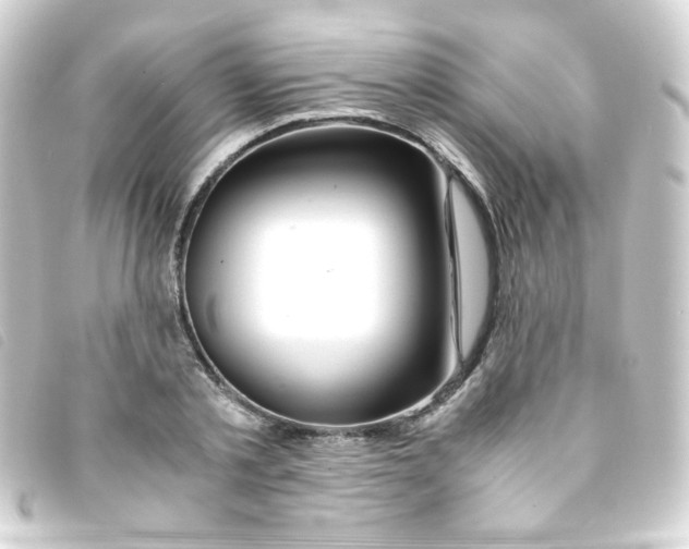 X0000093230789200710241235