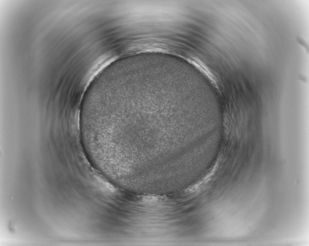 X0000093230790200710241235