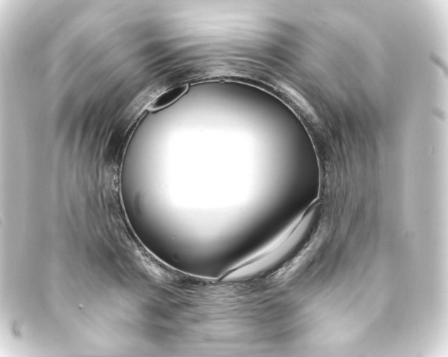 X0000093230793200710241235