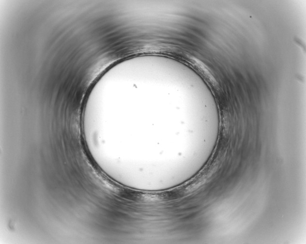 X0000093230794200710241235