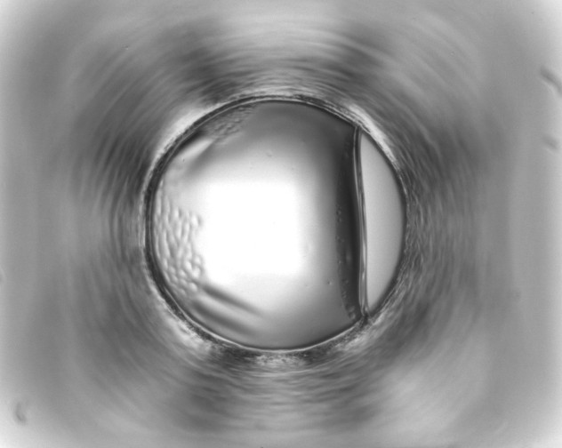 X0000093230795200710241235