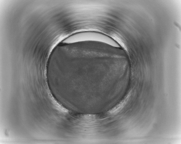 X0000093230797200710241235