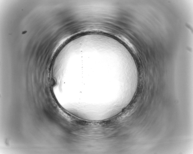 X0000093230799200710241235