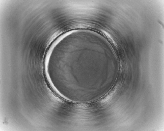 X0000093230802200710241235