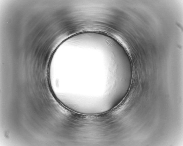 X0000093230803200710241235