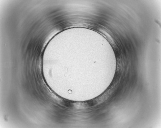 X0000093230804200710241235