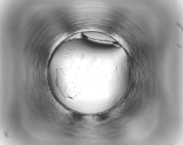 X0000093230805200710241235