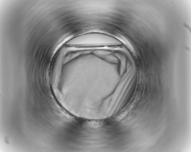 X0000093230806200710241235