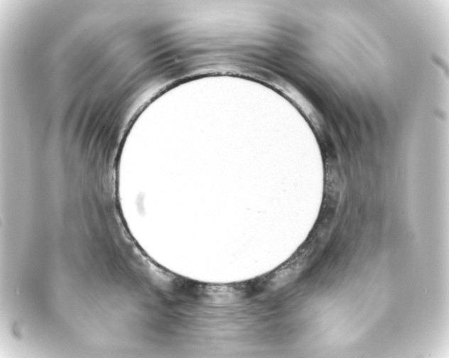 X0000093230807200710241235