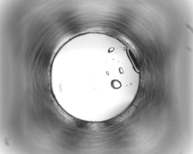 X0000093230808200710241235