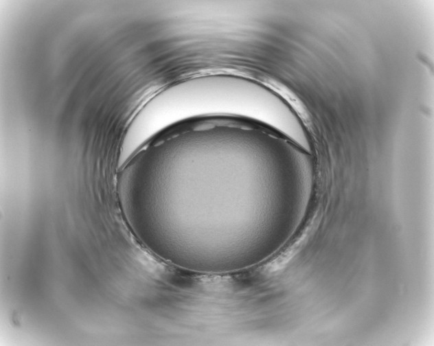 X0000093230809200710241235