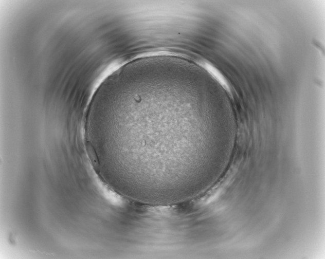 X0000093230813200710241235