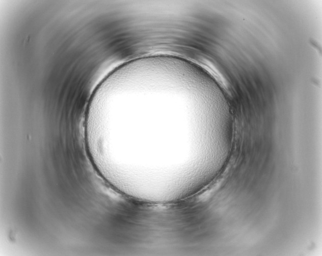 X0000093230814200710241235