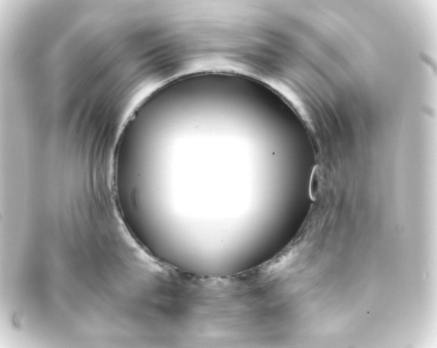 X0000093230815200710241235