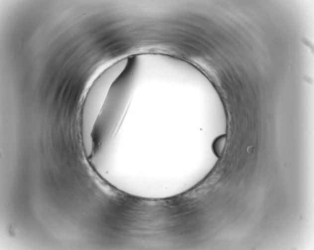 X0000093230816200710241235