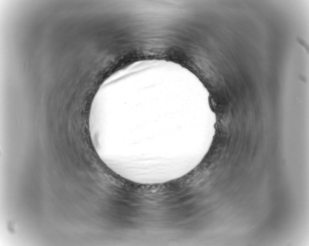 X0000093230817200710241234