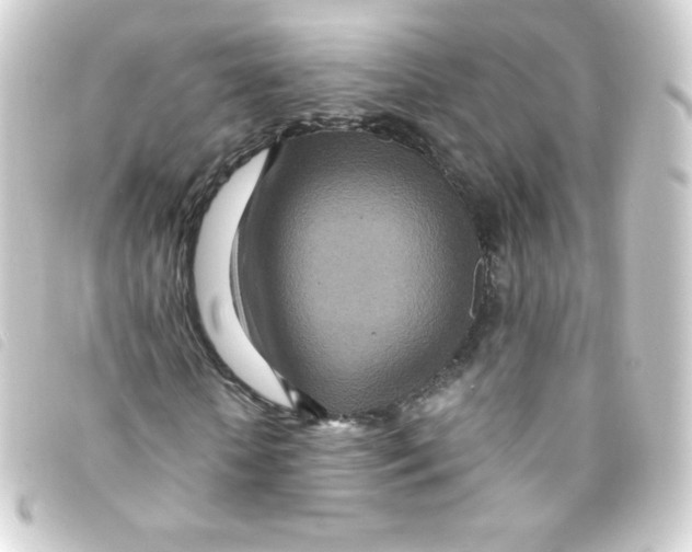 X0000093230818200710241234