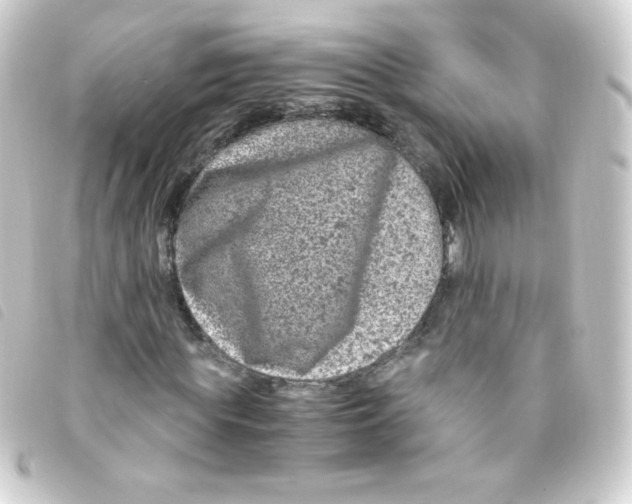 X0000093230819200710241234