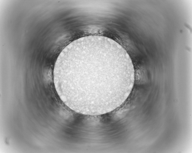 X0000093230820200710241234