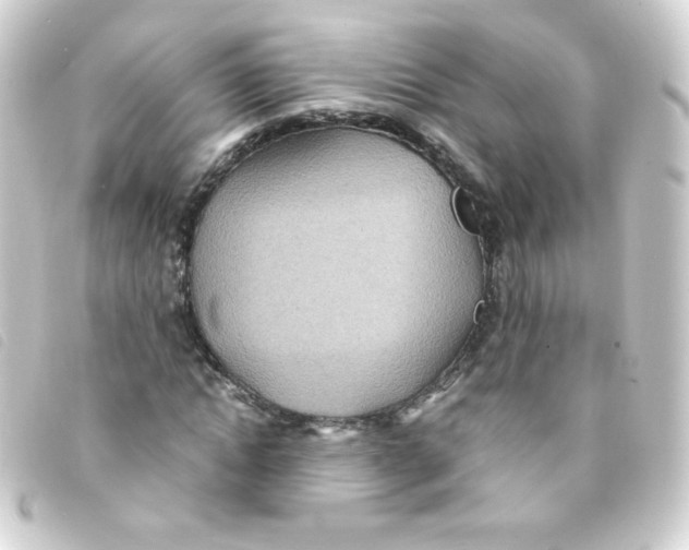 X0000093230822200710241234