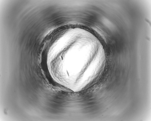 X0000093230823200710241234