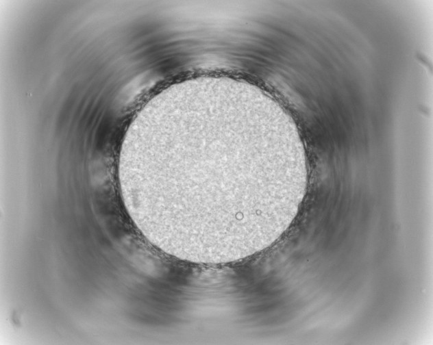 X0000093230824200710241234