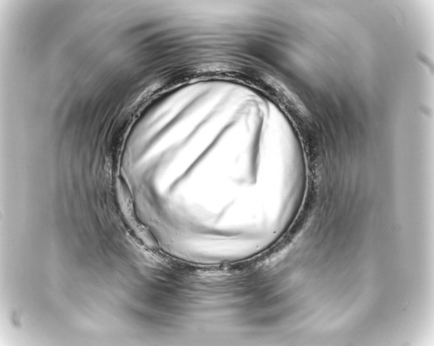 X0000093230825200710241234