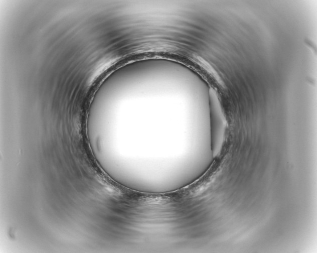 X0000093230826200710241234