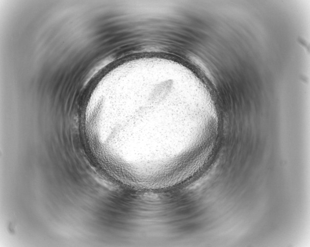 X0000093230827200710241234