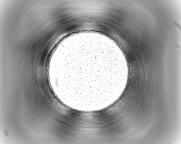 X0000093230828200710241234