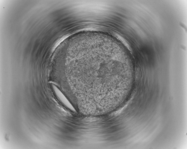 X0000093230829200710241234