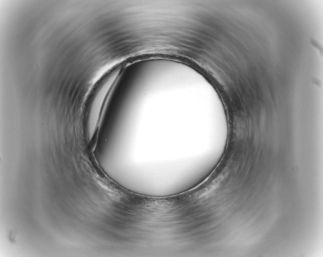 X0000093230830200710241234