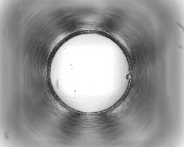 X0000093230831200710241234