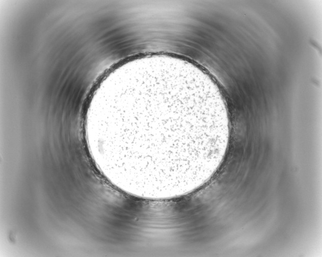 X0000093230832200710241234