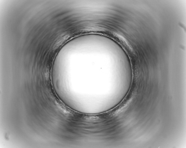 X0000093230833200710241234