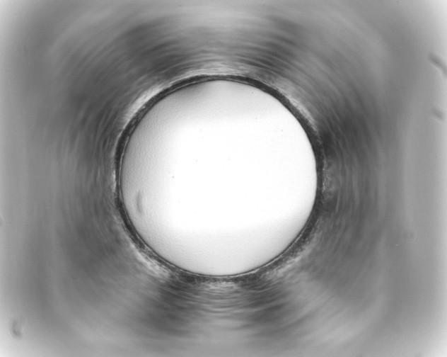 X0000093230837200710241234