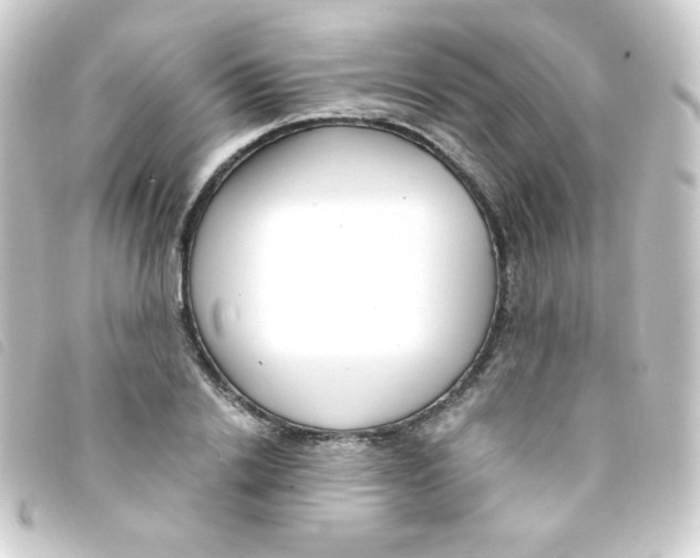 X0000093230838200710241234